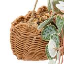 Plante artificielle Mona Plantes, vases Plantes artificielles