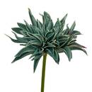 Fleur artificielle Homy Plantes, vases Fleurs artificielles