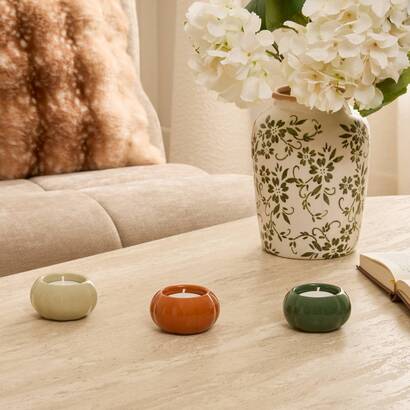Photophore lisiere plantes, vases vases