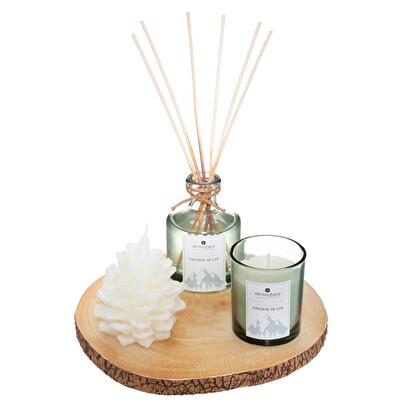 Coffret senteur Wild Bougies, senteurs Coffrets senteurs
