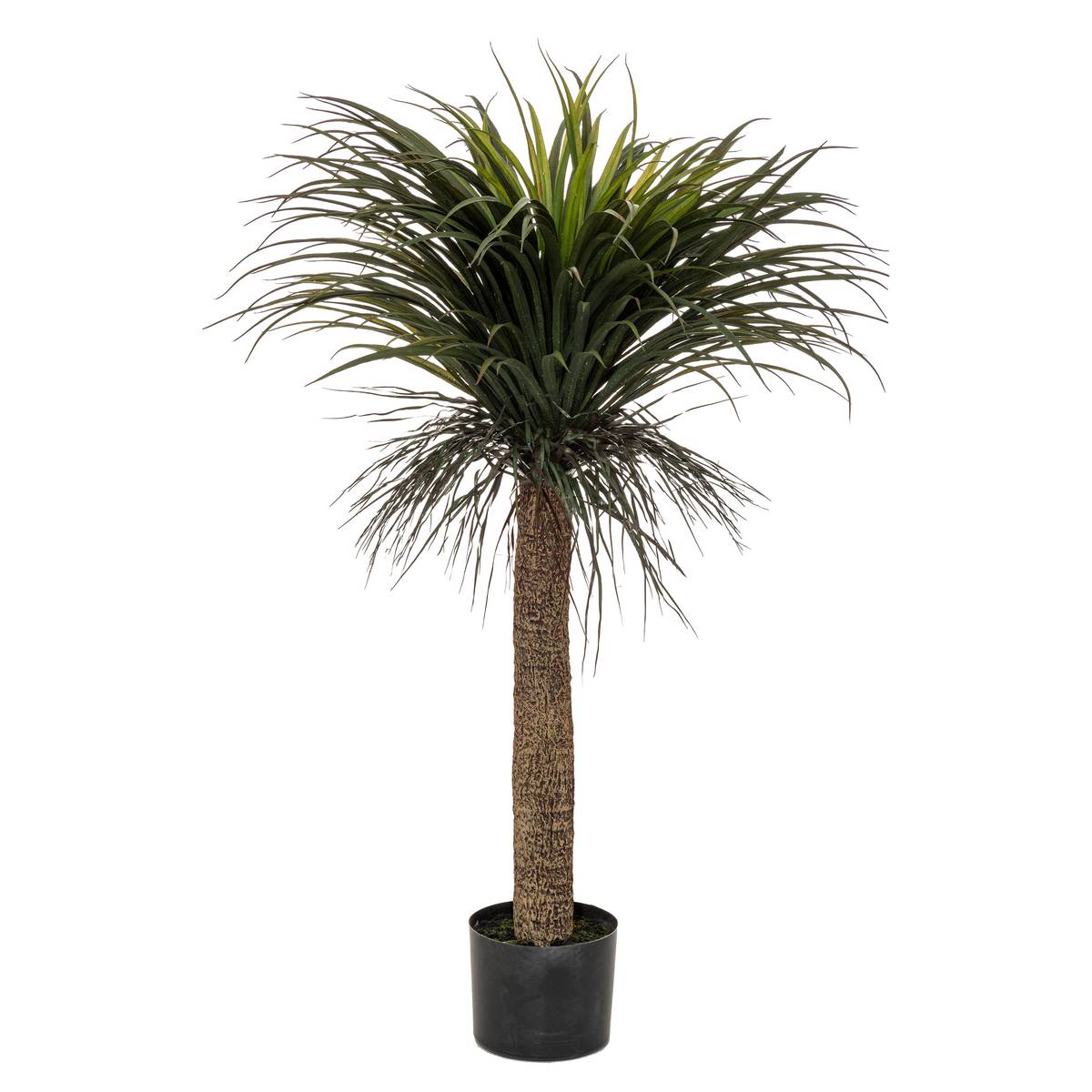 Yucca artificiel Tropiques Plantes, vases Plantes artificielles