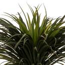 Yucca artificiel Tropiques Plantes, vases Plantes artificielles