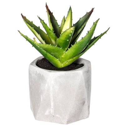 Plante grasse artificielle Plantes, vases Plantes artificielles