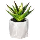 Plante grasse artificielle Plantes, vases Plantes artificielles