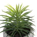 Plante grasse artificielle Plantes, vases Plantes artificielles