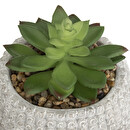 Plante artificielle Bouddha Plantes, vases Plantes artificielles