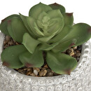 Plante artificielle Bouddha Plantes, vases Plantes artificielles