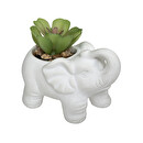 Plante artificielle Éléphant Plantes, vases Plantes artificielles