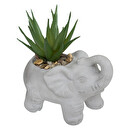 Plante artificielle Éléphant Plantes, vases Plantes artificielles