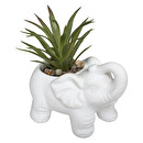 Plante artificielle Éléphant Plantes, vases Plantes artificielles