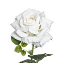 Tige de rose artificielle Plantes, vases Fleurs artificielles