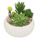 Plante grasse artificielle Plantes, vases Plantes artificielles