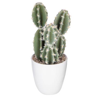 Plante succulente & cactus Plantes, vases Plantes artificielles