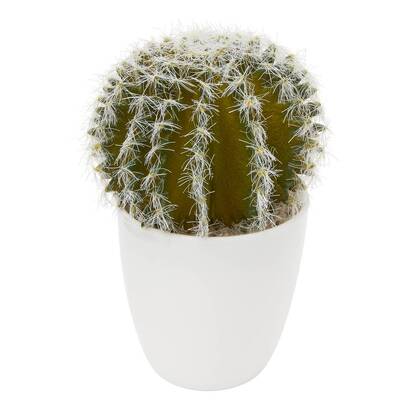 Plante succulente & cactus Plantes, vases Plantes artificielles