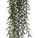 Plante artificielle Ali Plantes, vases Plantes artificielles