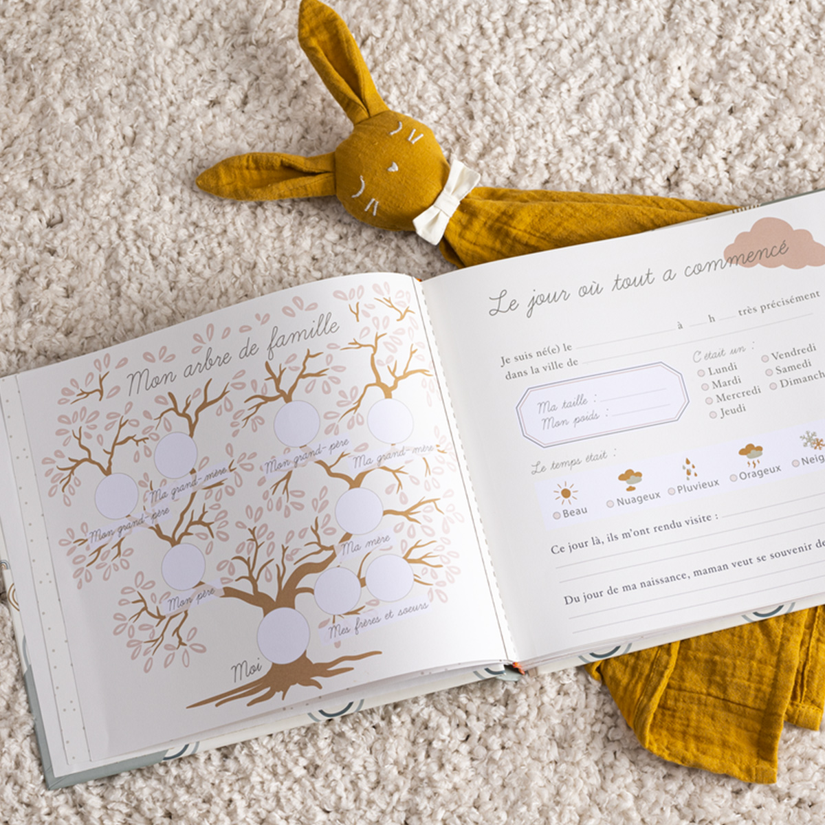 Livre de naissance bébé Univers bébé Cadeaux de naissance