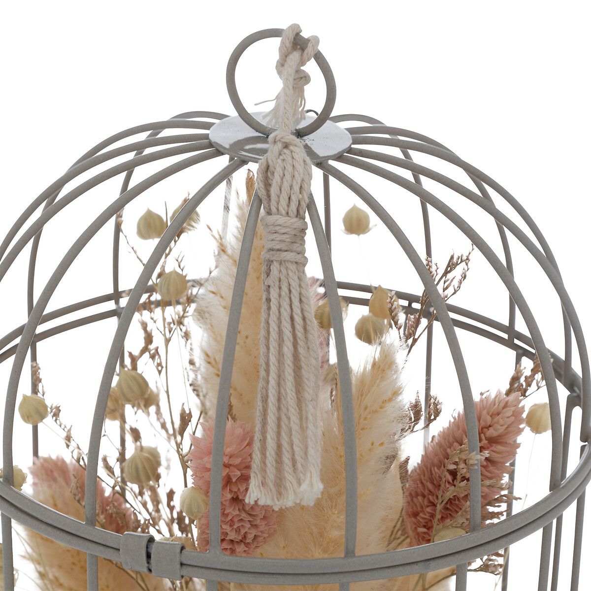 Cage Plantes, vases Fleurs séchées