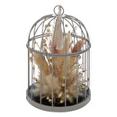 Cage Plantes, vases Fleurs séchées