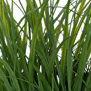 Plante artificielle Plantes, vases Plantes artificielles