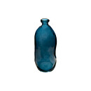 Vase Dame jeanne Plantes, vases Dame jeanne
