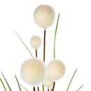 Tige de roseaux artificiels Plantes, vases Fleurs artificielles