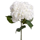 Tige d'hortensia artificiel Plantes, vases Fleurs artificielles