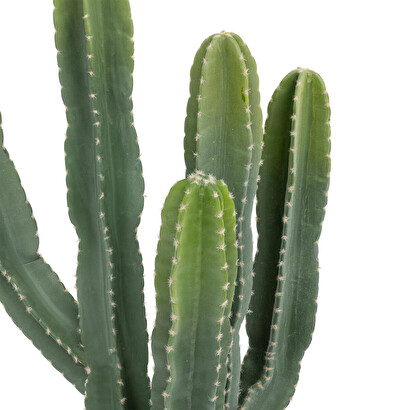 Cactus exotic panama plantes, vases plantes artificielles