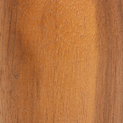 Soliflore Siera Plantes, vases Vases