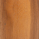 Soliflore Siera Plantes, vases Vases
