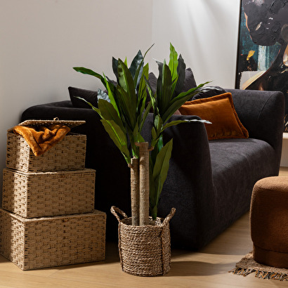 Dracena artificielle Onia Plantes, vases Plantes artificielles