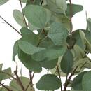 Eucalyptus artificiel Cony Plantes, vases Plantes artificielles