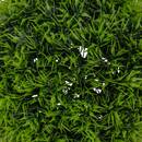 Boule de buis artificiel Carly Plantes, vases Plantes artificielles
