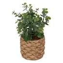 Eucalyptus artificiel en pot Jaye Plantes, vases Plantes artificielles