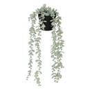 Eucalyptus artificiel en pot Merly Plantes, vases Plantes artificielles