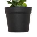 Eucalyptus artificiel en pot Merly Plantes, vases Plantes artificielles