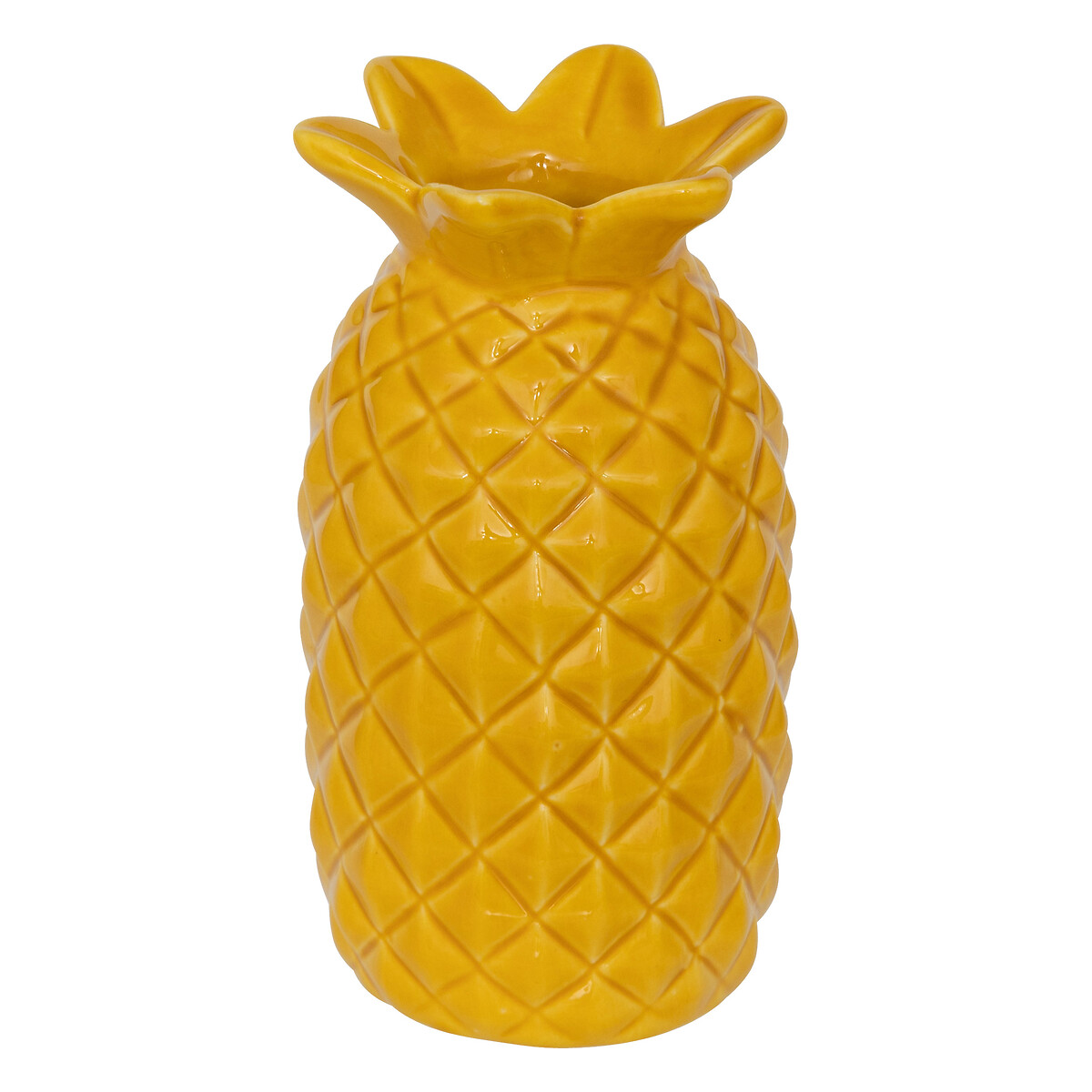 Soliflore Yuca Plantes, vases Vases
