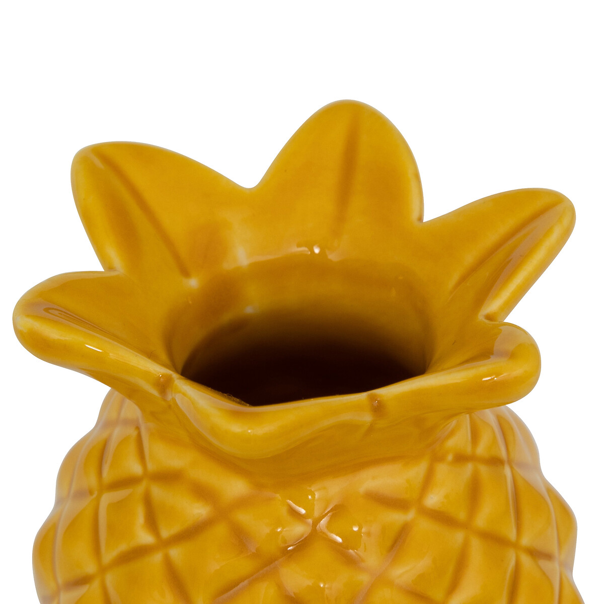 Soliflore Yuca Plantes, vases Vases