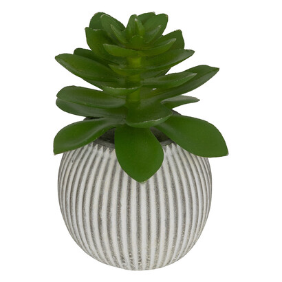 Plante artificielle petit format Ubi Plantes, vases Plantes artificielles