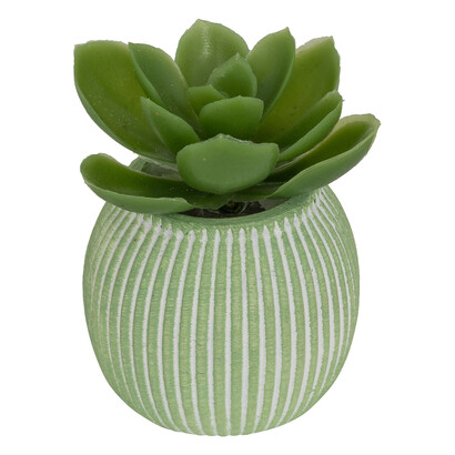 Plante artificielle petit format Ubi Plantes, vases Plantes artificielles