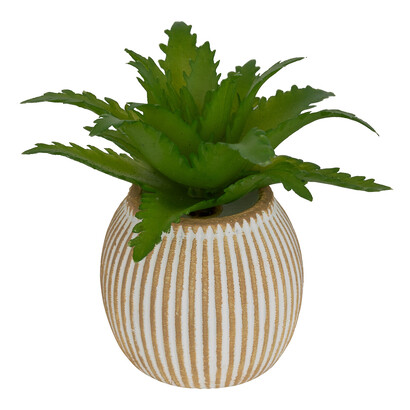 Plante artificielle petit format Ubi Plantes, vases Plantes artificielles