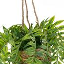 Plante artificielle suspendue Patri Plantes, vases Plantes artificielles