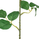 Tige de rose artificielle Nexi Plantes, vases Fleurs artificielles