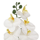 Tige d'orchidée artificielle Gisele Plantes, vases Fleurs artificielles