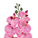 Tige d'orchidée artificielle Gisele Plantes, vases Fleurs artificielles