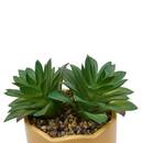 Plante artificielle en pot Cheri Plantes, vases Plantes artificielles