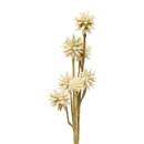 Fleur artificielle Fria Plantes, vases Fleurs artificielles