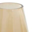 Vase Alexis Plantes, vases Vases