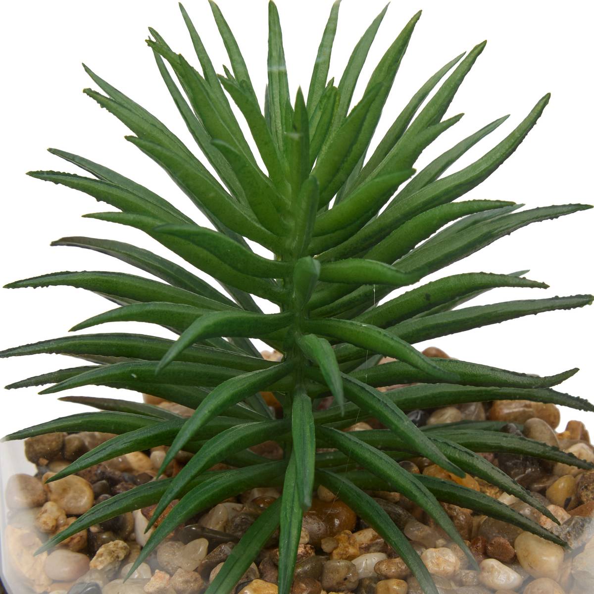 Terrarium Wilo Plantes, vases Plantes artificielles