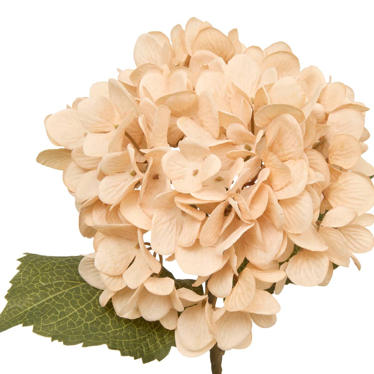 Fleur artificielle Fria Plantes, vases Fleurs artificielles