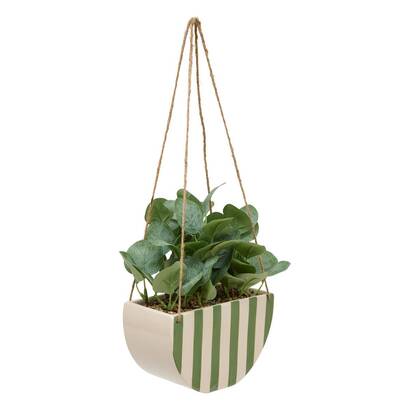 Plante artificelle suspendue Cheri Plantes, vases Plantes artificielles